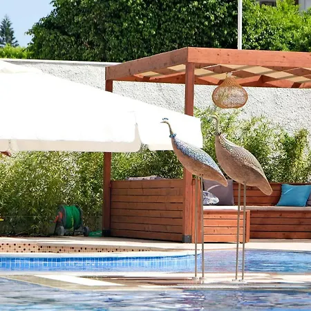 Apartment Sa Apartments! Luxury 2bd Duplex